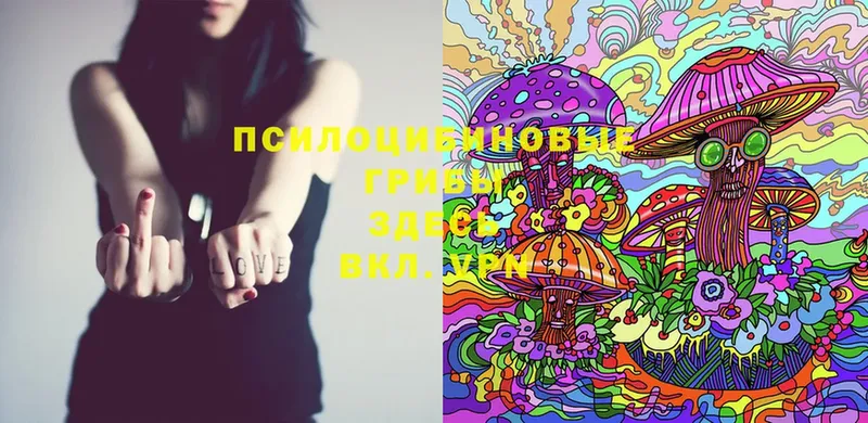 Галлюциногенные грибы MAGIC MUSHROOMS  shop Telegram  Татарск 